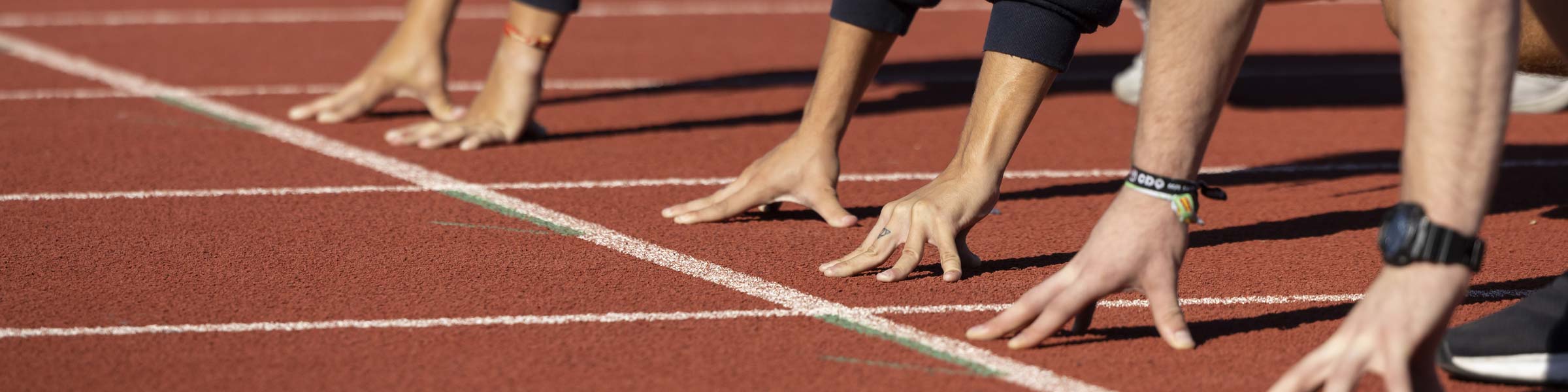 Grado en Ciencias de la Actividad Física y del Deporte